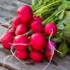 Radish 125g
